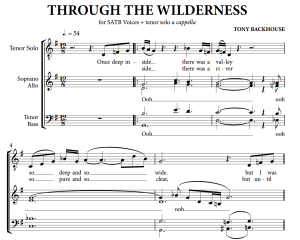 THROUGH THE WILDERNESS
