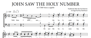 JOHN SAW THE HOLY NUMBER