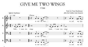 GIVE ME TWO WINGS